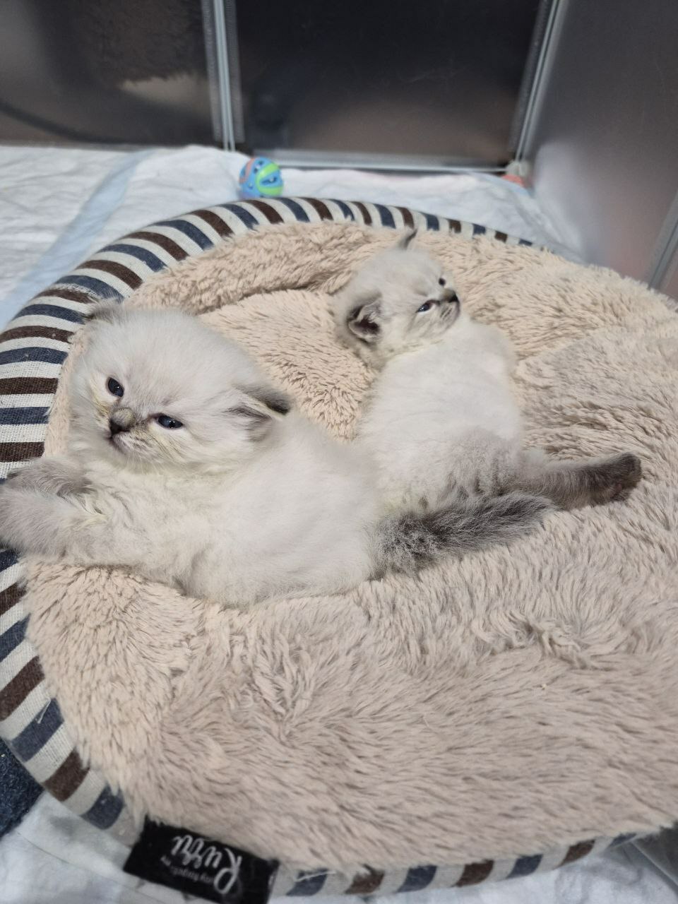 14 января 2026 года