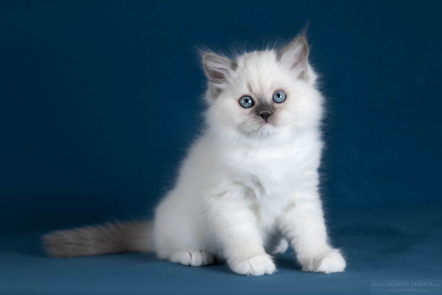 14 февраля 2026 года 